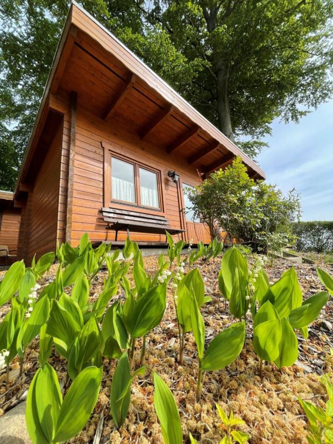 Hotel Forsthaus Langenberg Heringsdorf Zewnętrze zdjęcie